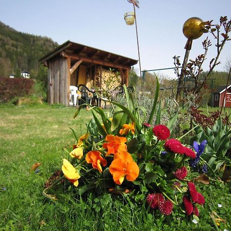 Appartement Scheibling Saint Wolfgang Esterno foto