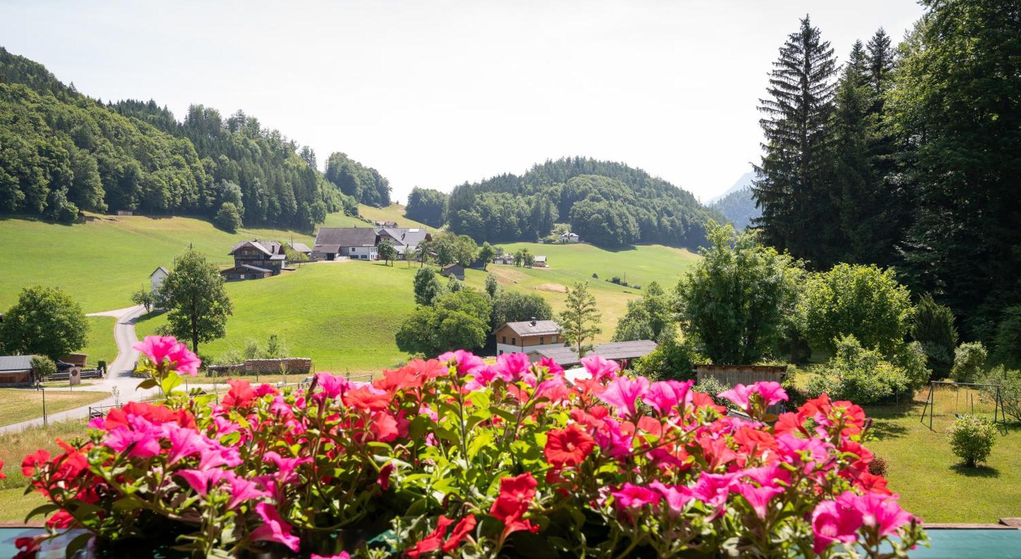 Appartement Scheibling Saint Wolfgang Esterno foto