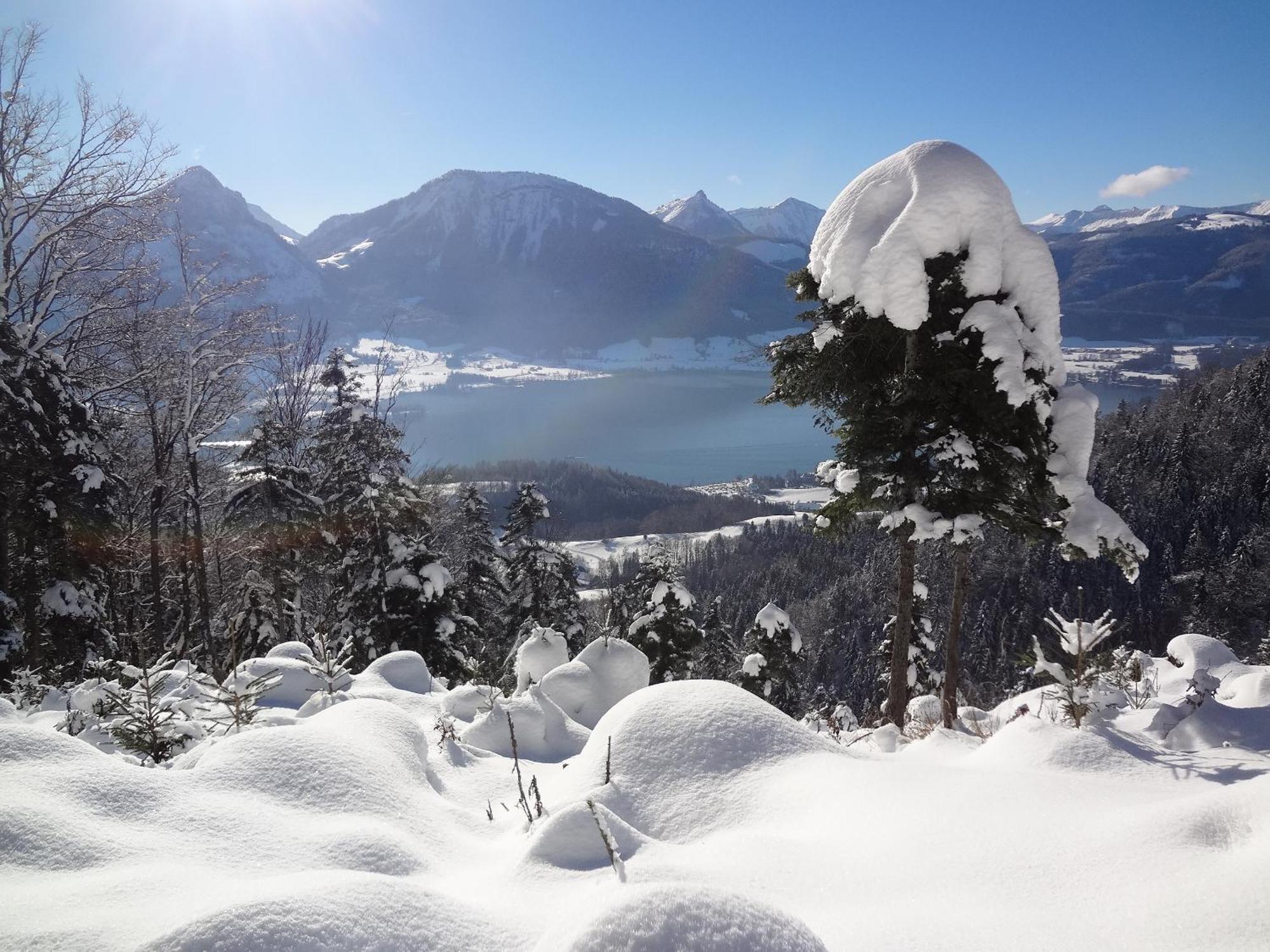 Appartement Scheibling Saint Wolfgang Esterno foto